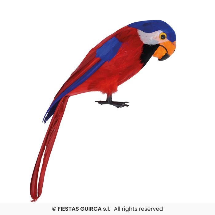 Parrot, 36 cm