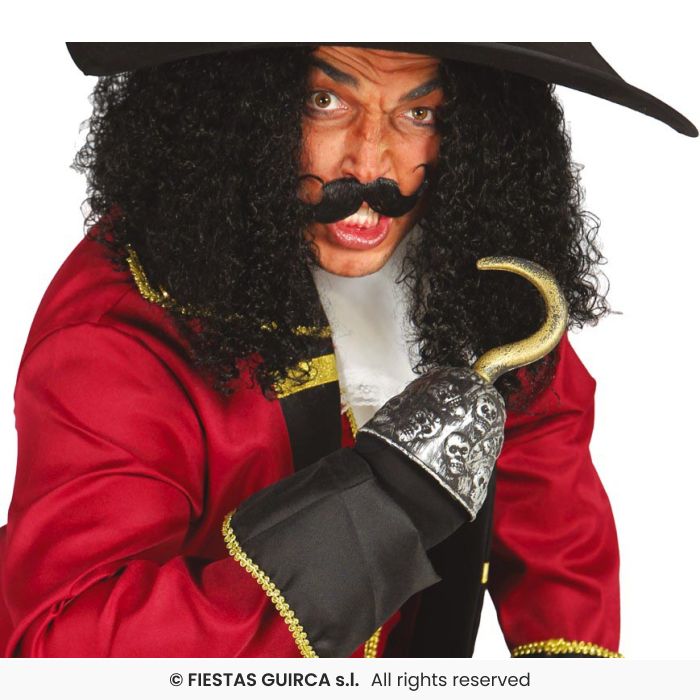 Pirate Captain Hook
