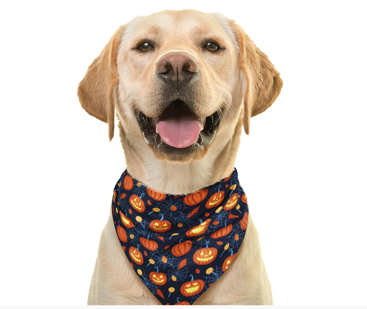 Pet Scarf - Pumpkin