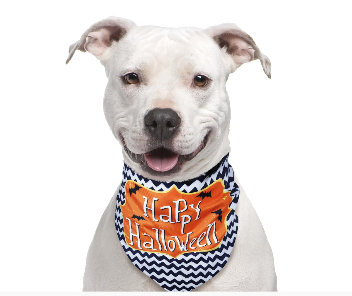Pet Scarf - Happy Halloween