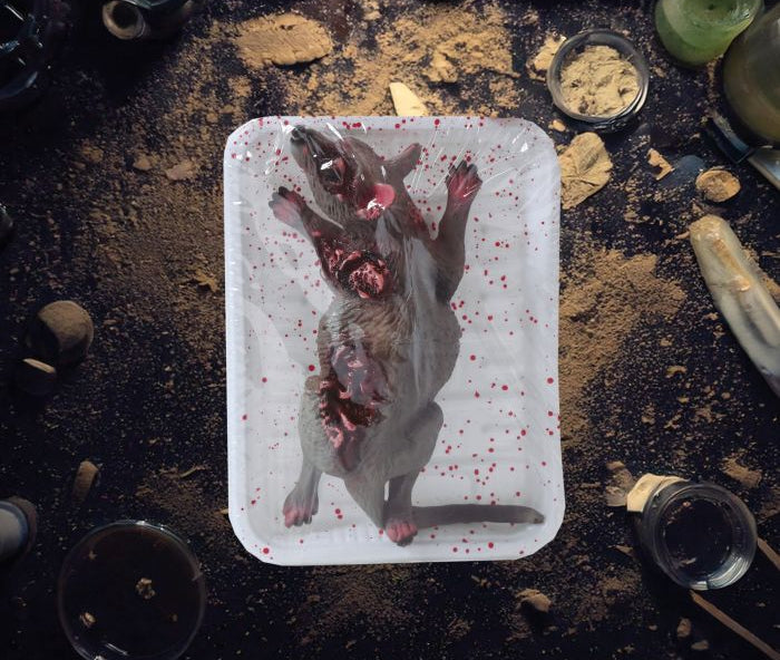 Squashed vinyl Rat in Tray, 19x12 cm