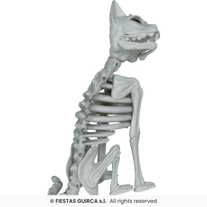 Skeleton Cat, PVC - 37cm