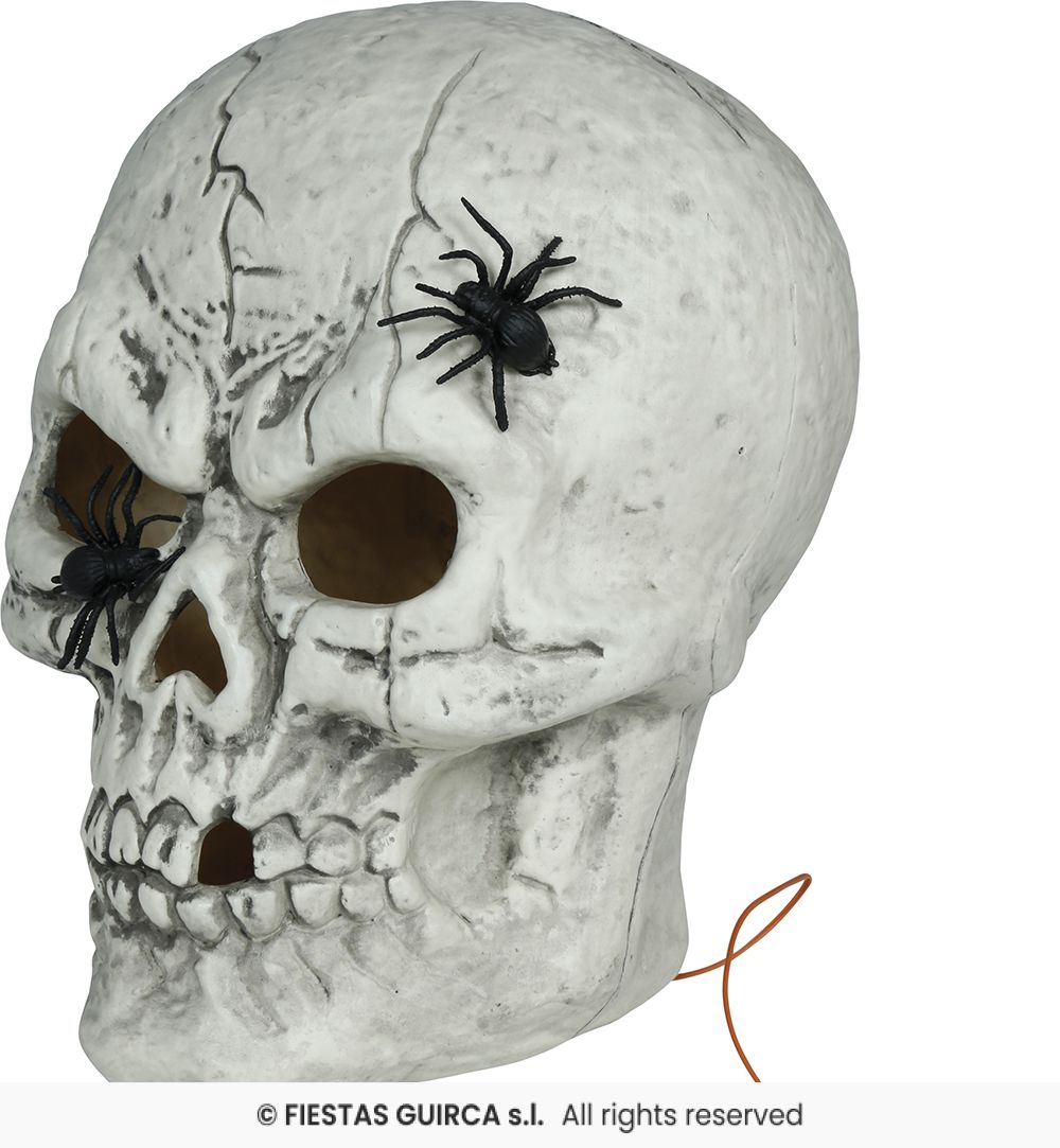 Large Skull with Spiders & Light - 35cm
