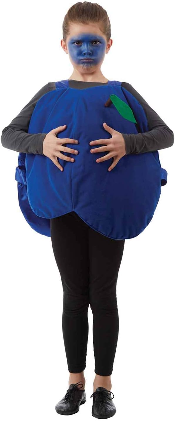 Children's Blueberry Costume
