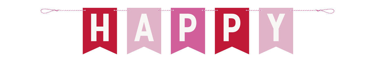 Red & Pink Happy Valentine's Day Pennant Banner