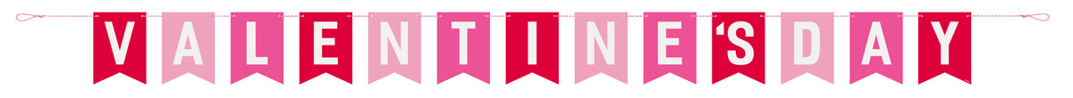 Red & Pink Happy Valentine's Day Pennant Banner