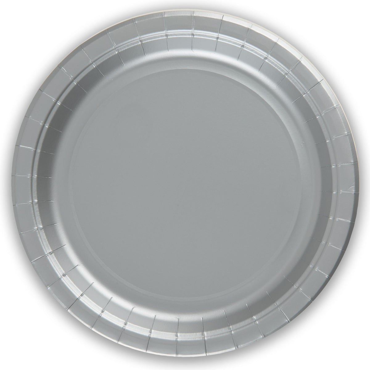 Silver Plastic Free Paper Plates x 8