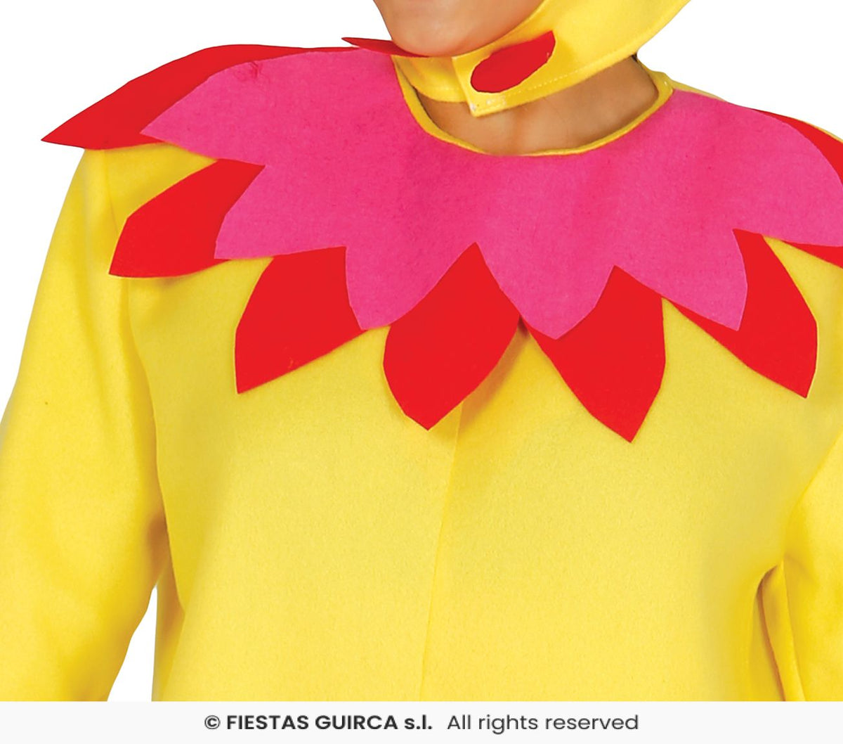 Hen / Chicken Costume