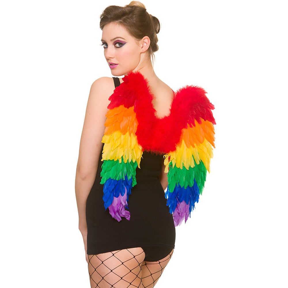Rainbow Feather Wings