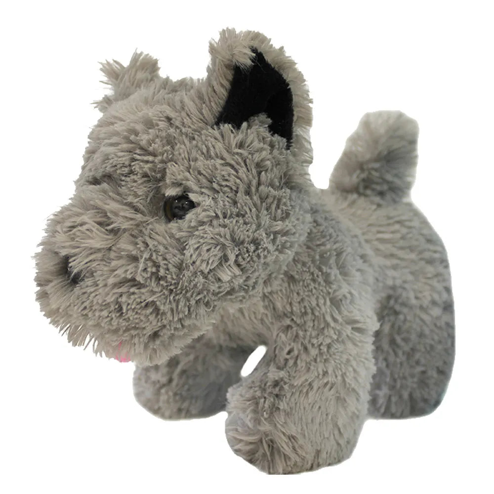Toy Small Terrier Dog
