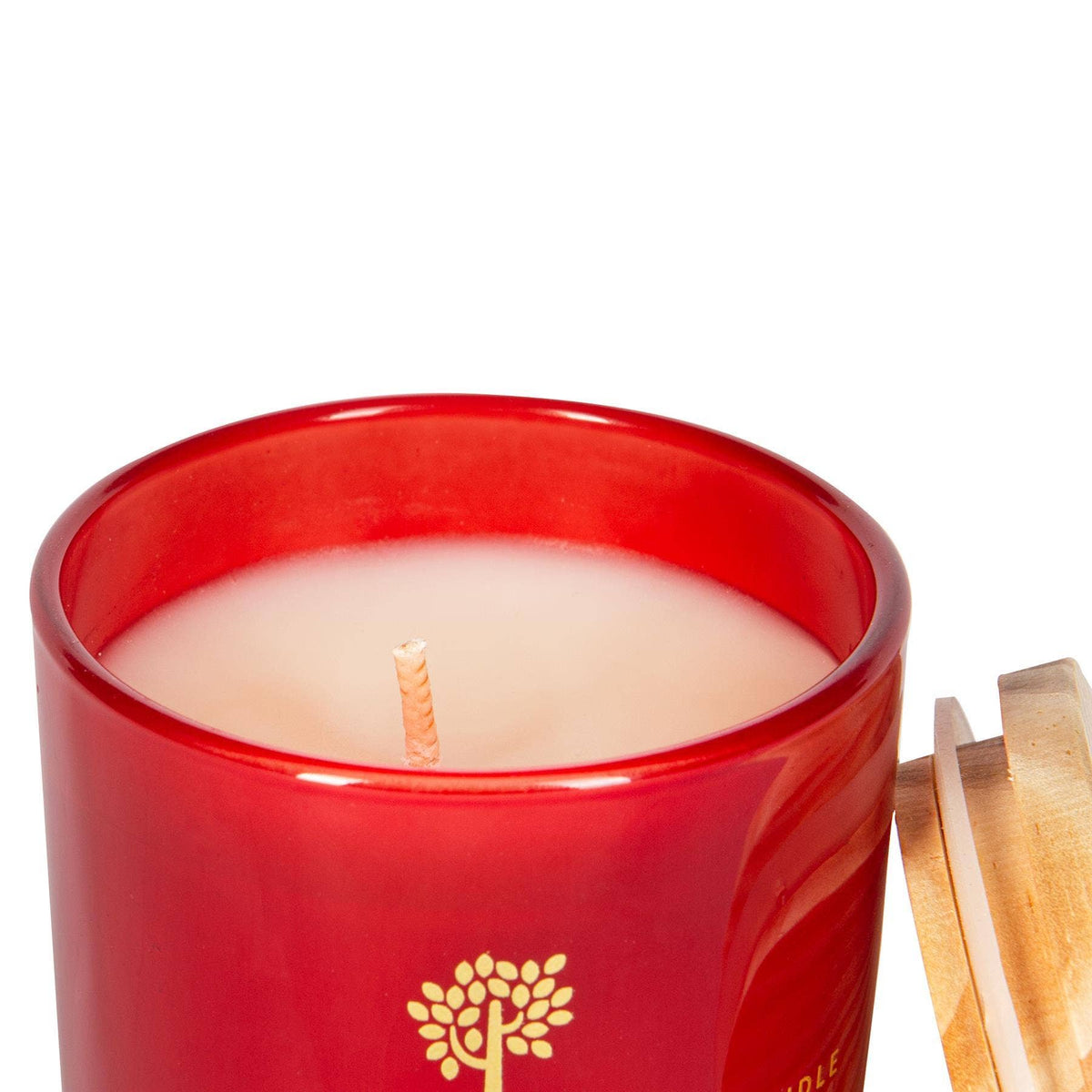 130g Wild Fig & Cassis Soy Wax Scented Candle Nicola Spring