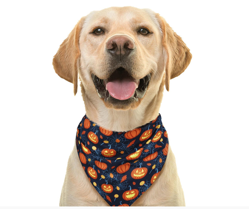 Halloween Pet Costumes & Accessories