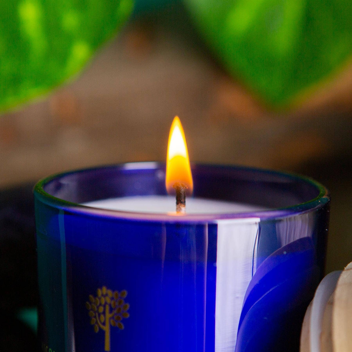 130g Patchouli & Rosewood Wax Scented Candle Nicola Spring