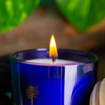 130g Patchouli & Rosewood Wax Scented Candle Nicola Spring