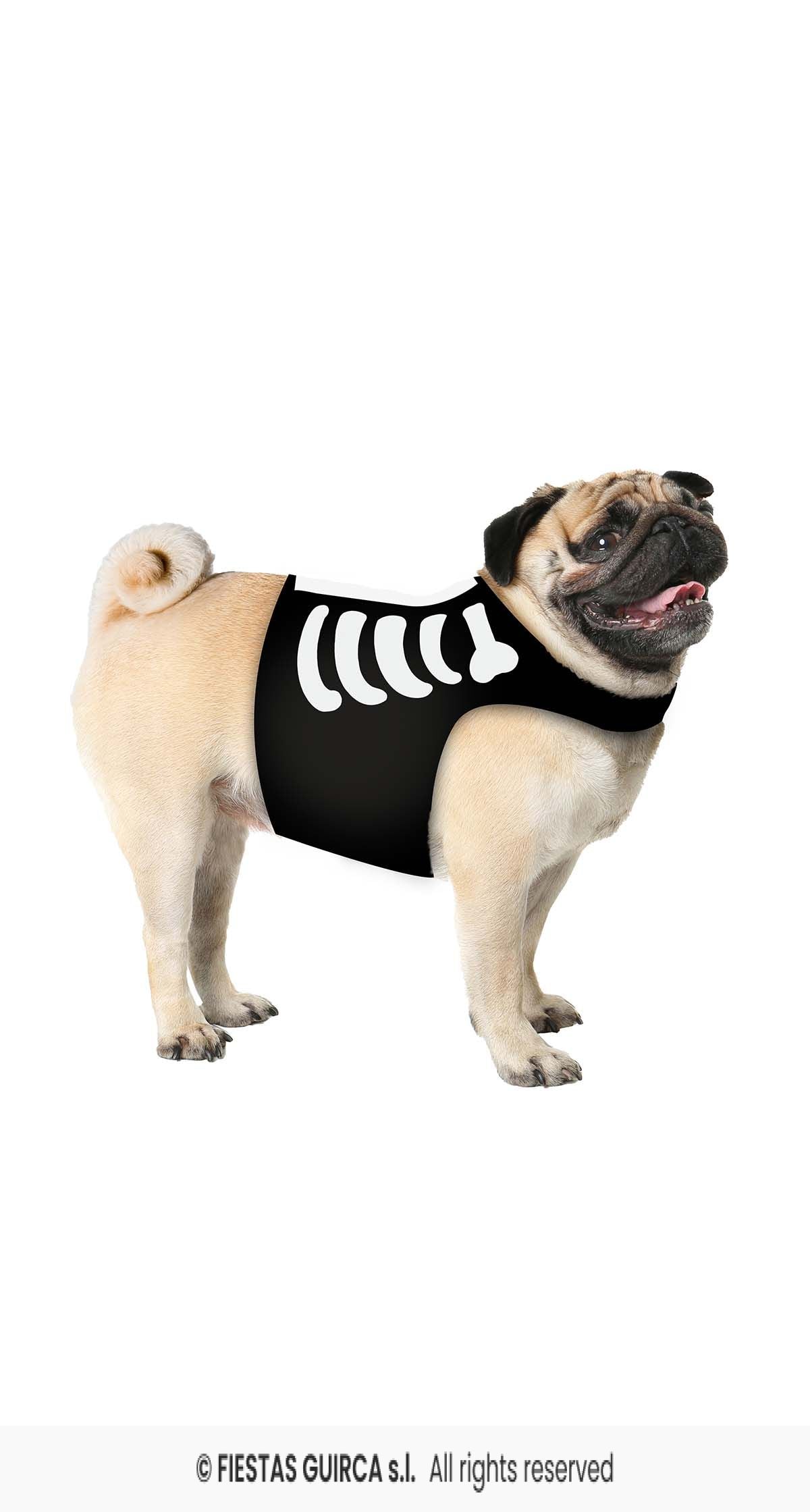 Dog Animal Skeleton Pet Costume
