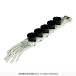 Skeleton Arm 50cm with 5 Shot Glasses