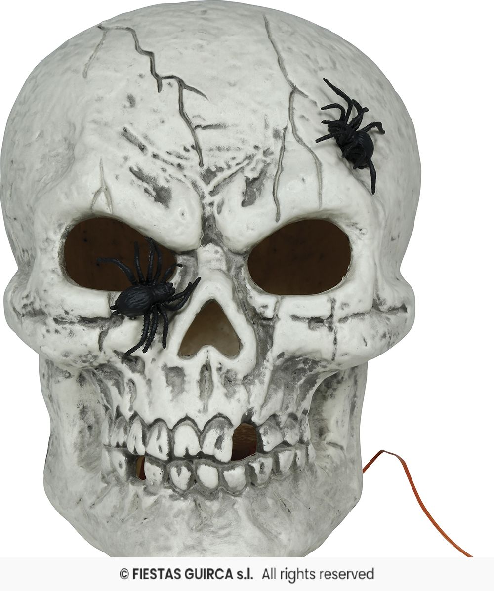 Large Skull with Spiders & Light - 35cm