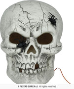 Large Skull with Spiders & Light - 35cm