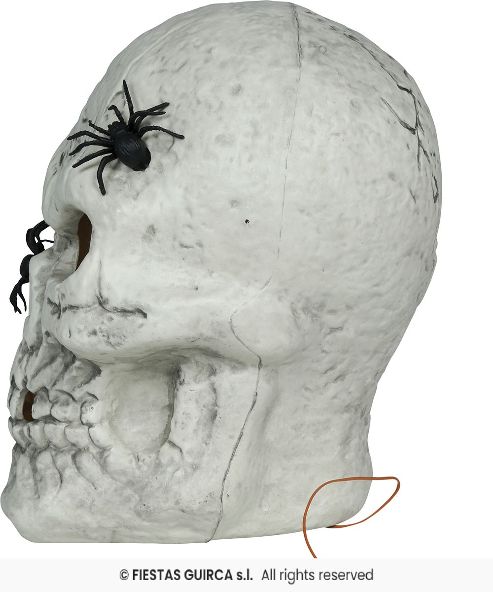 Large Skull with Spiders & Light - 35cm