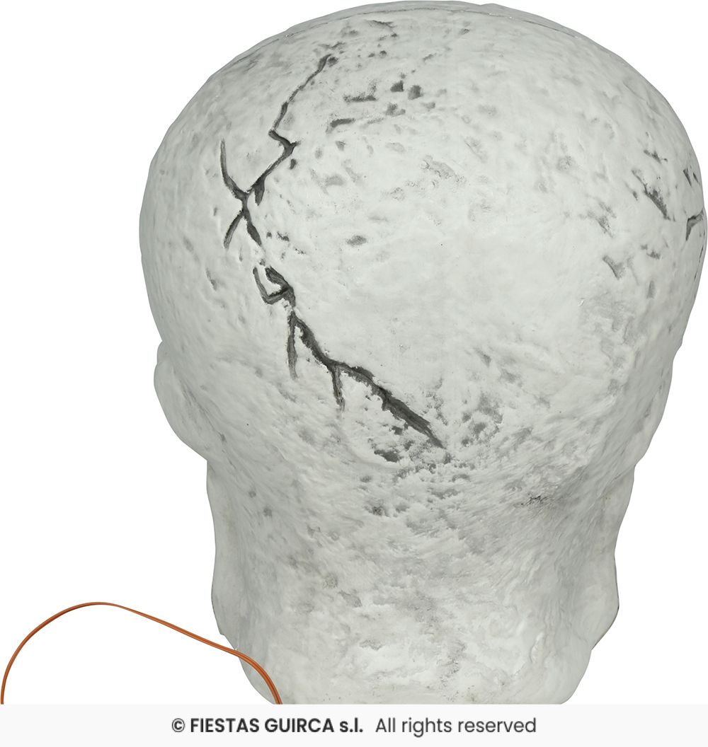 Large Skull with Spiders & Light - 35cm