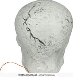 Large Skull with Spiders & Light - 35cm