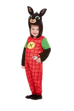 Bing Deluxe Costume
