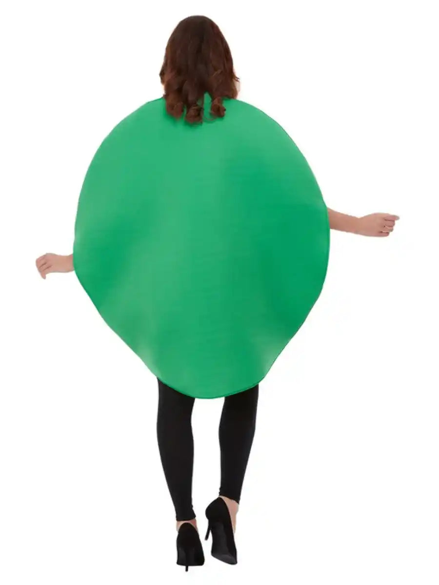 Watermelon Costume