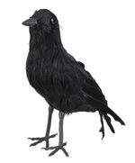 Crow - Prop