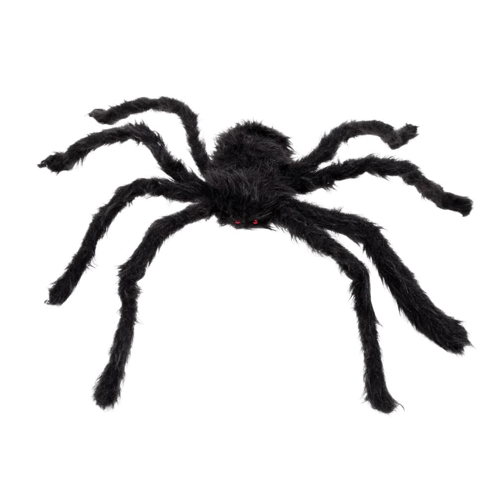 Black Hairy Spider (50x65cm)