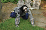 Skeleton Crawling Dead 2 Asst Designs