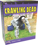 Skeleton Crawling Dead 2 Asst Designs