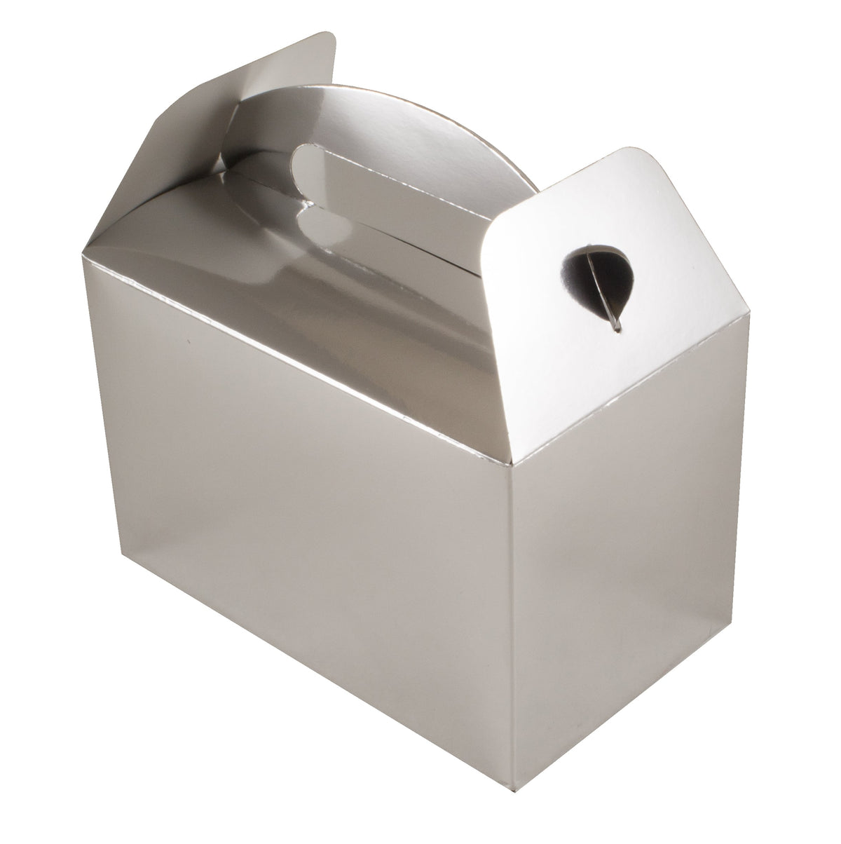 Party Food Gift Boxes Silver - 6pk