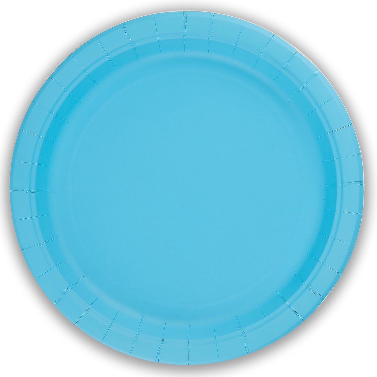 Light Blue Plastic Free Paper Plates x 8