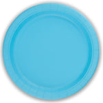 Light Blue Plastic Free Paper Plates x 8