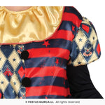 Adults Diamond Harlequin Jester Costume