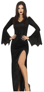 Black Gothic Madame Dress