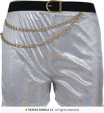 Teen Pop-Star Silver Leader