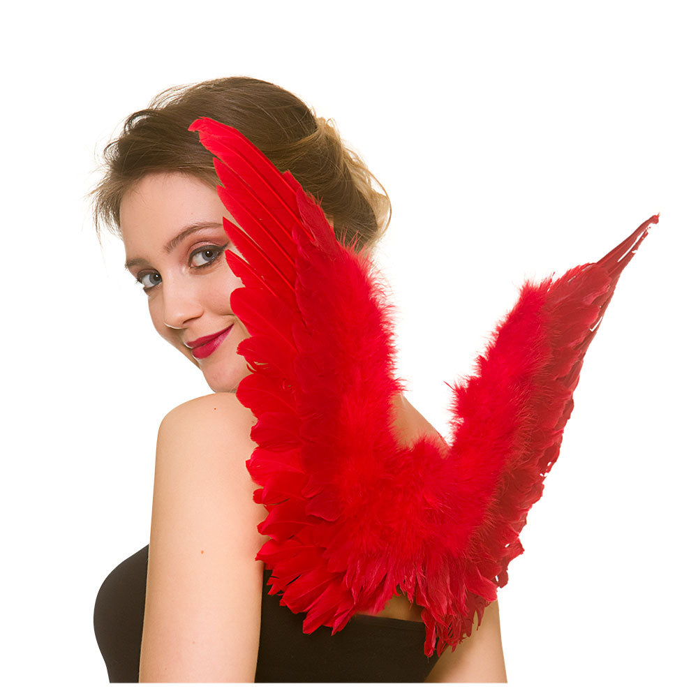 Red Feathered Wings - 36cm x 60cm