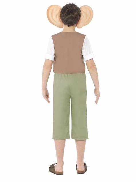 Roald Dahl BFG Costume