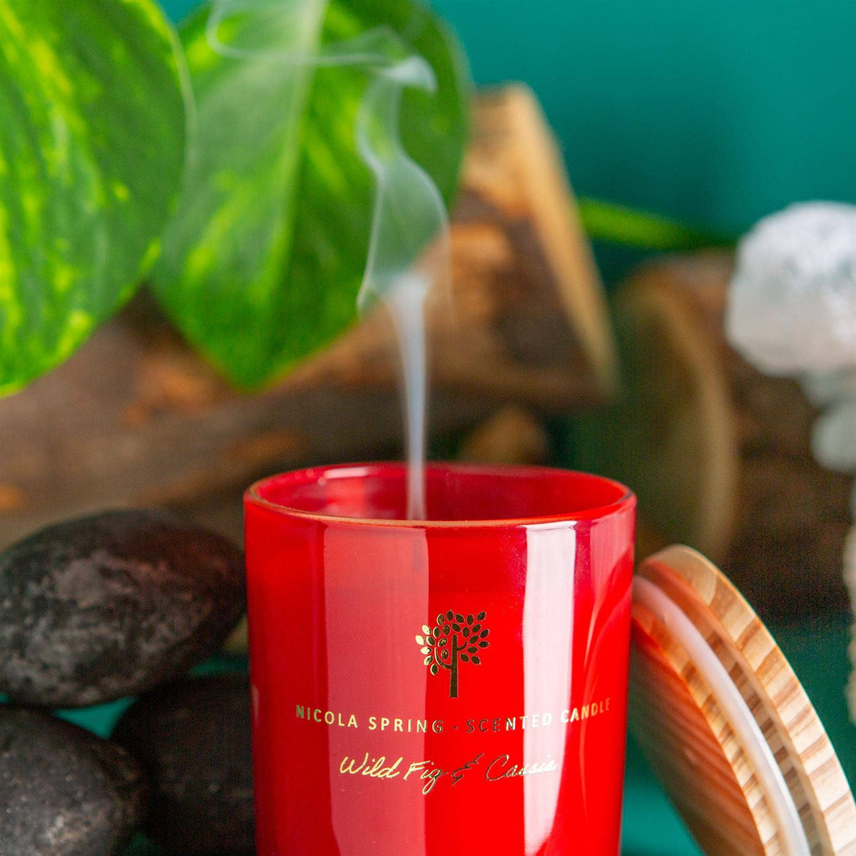 130g Wild Fig & Cassis Soy Wax Scented Candle Nicola Spring